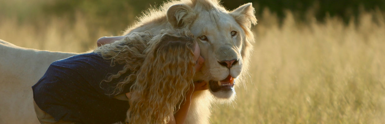 Mia and the White Lion