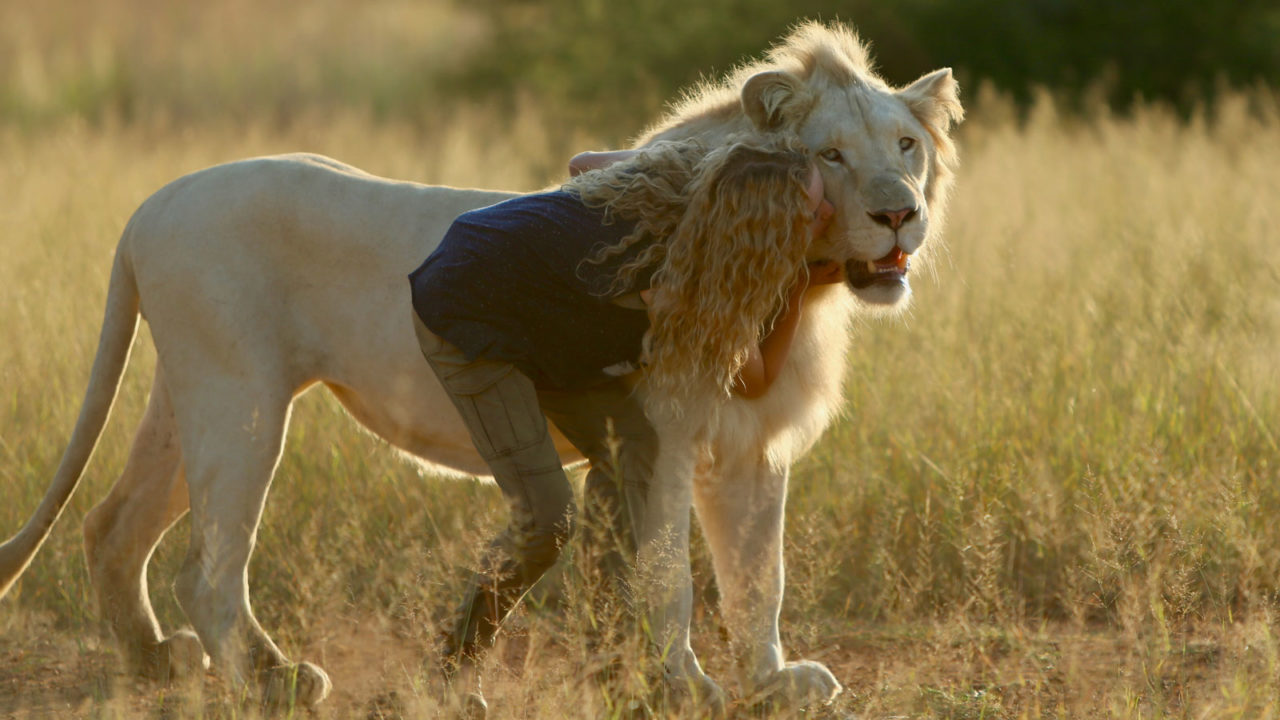 Mia and the White Lion