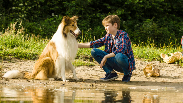 Lassie kommer hjem