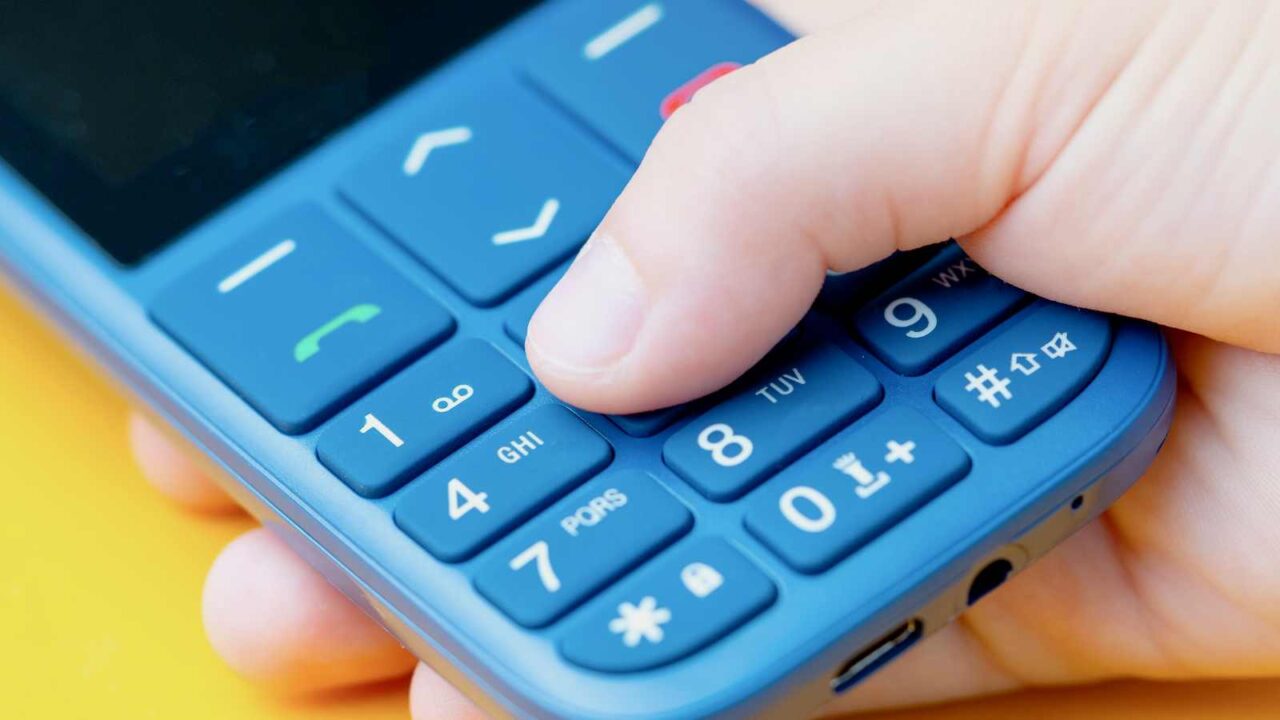 Foto: Shutterstock / Varavin88.