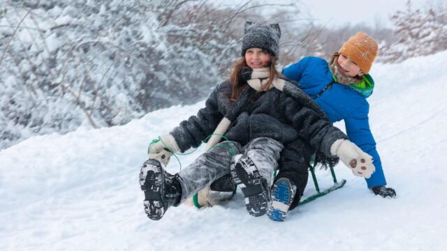 Foto: Shutterstock / Mishchenko Svitlana.
